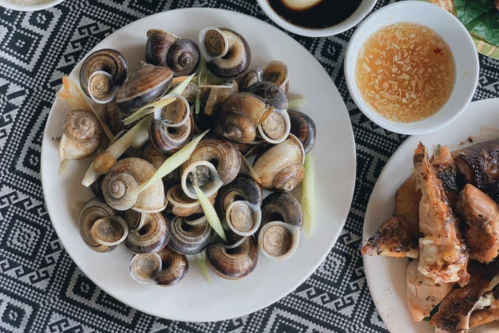 lumache di risaia a Ninh Binh